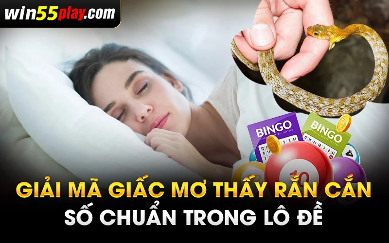 Giải mã giấc mơ thấy rắn cắn – Số chuẩn trong lô đề